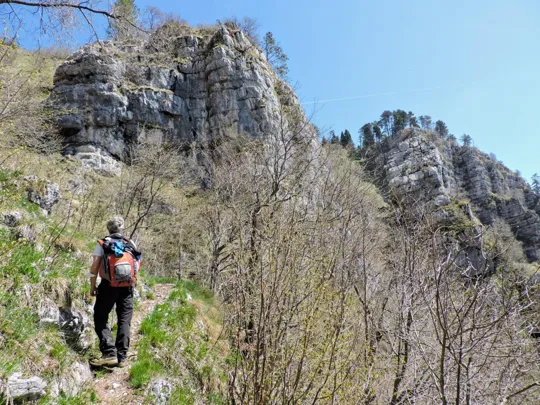 Sentiero dei forestali