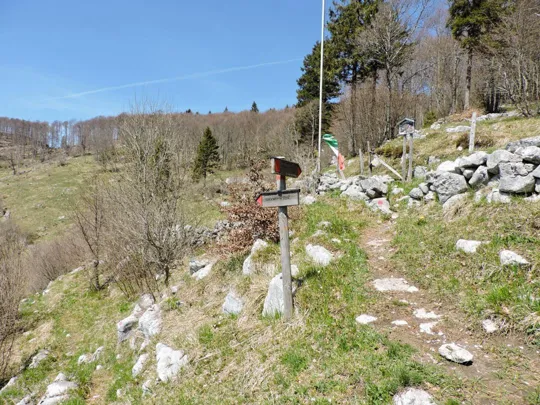 Termine del sentiero dei forestali