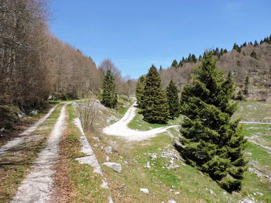 Strada del Generale e raccordo per malga Sunio