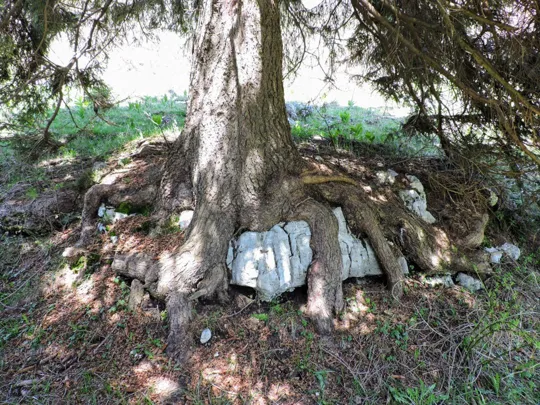 Abbraccio o stretta?