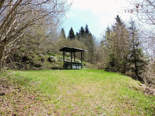 Sentiero da malga Sunio verso malga Foraoro