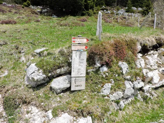 Indicazione per malga Foraoro