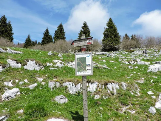 Indicazione nei pressi di malga Foraoro