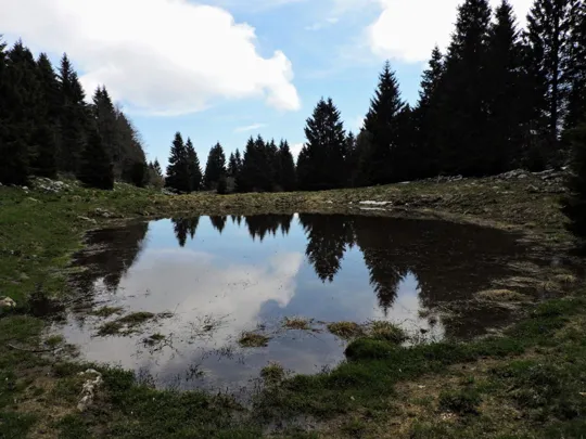 Pozza sul monte Foraoro