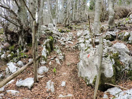 Sentiero del monte Foraoro