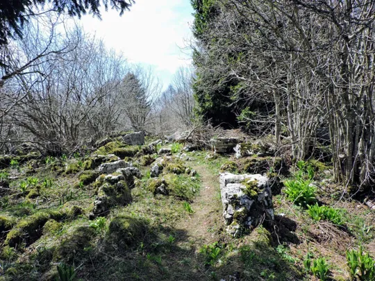 Sentiero del monte Foraoro