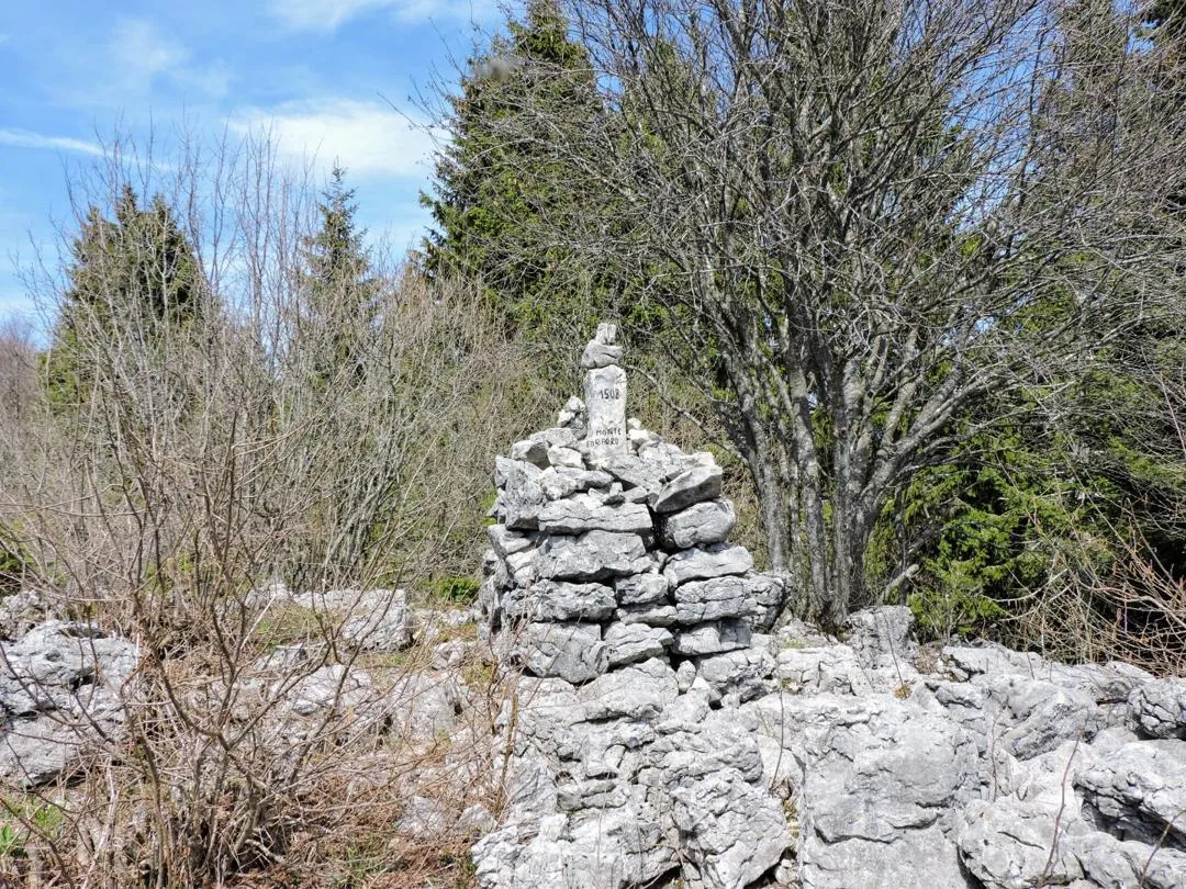 Bocchetta Paù - Monte Foraoro