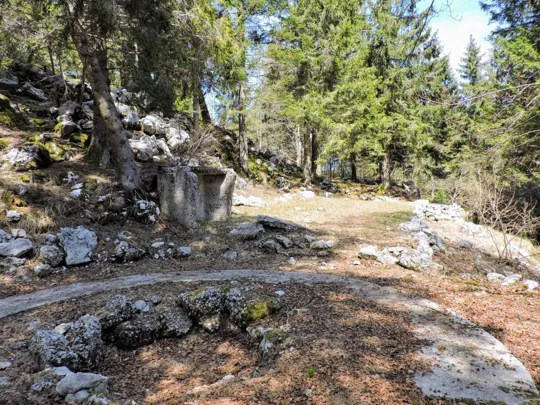 Monte Foraoro -  - Postazione antiaerea