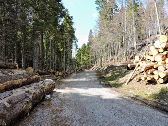 Strada a passo della Pianetta