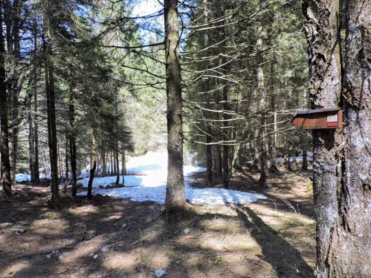 Incrocio vero il bar Alpino da NON seguire