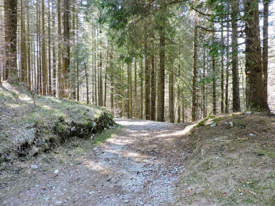 Tenere il sentiero di destra