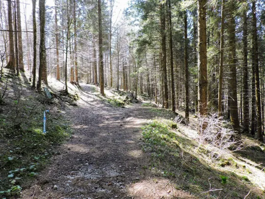 Sentiero su monte Foraoro