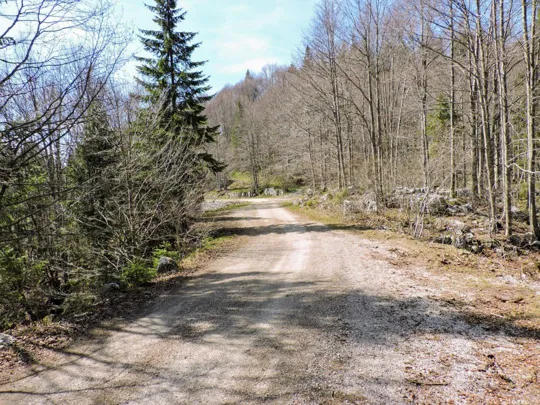Sulla strada verso bocchetta Paù