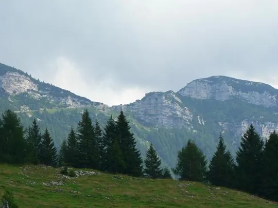 Bocchetta Portule - Vista da Malga Larici di Sotto