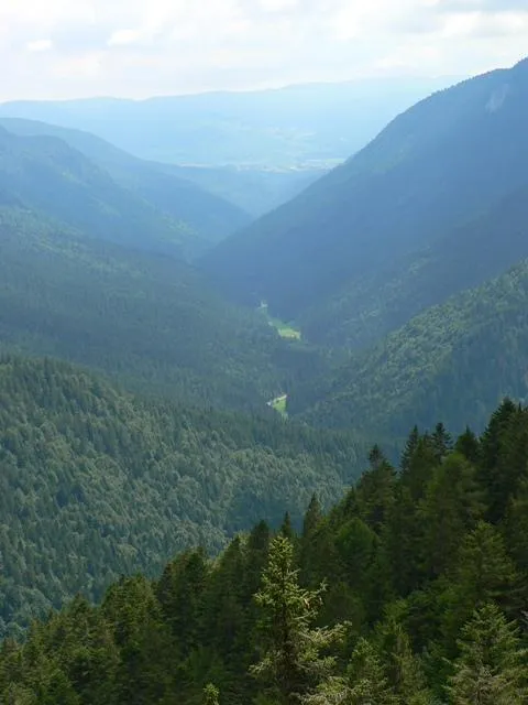Bocchetta Portule - Val d'Assa