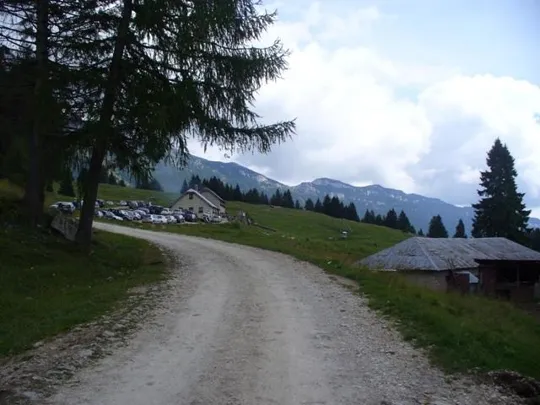 Bocchetta Portule - Malga Larici di Sotto