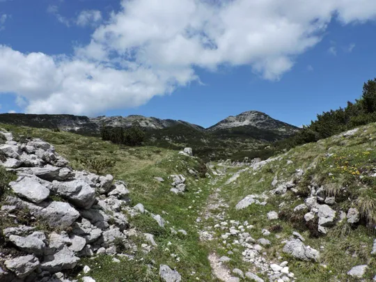 lungo il sentiero, vista su Cima XII