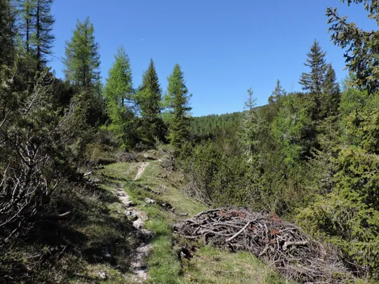 Deviazione a sinistra sul sentiero