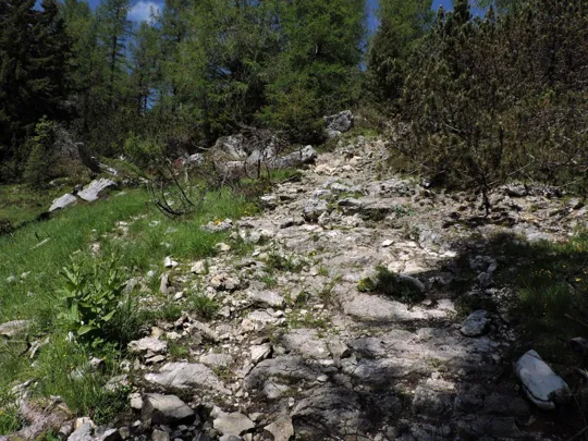 Salita del sentiero NON segnato