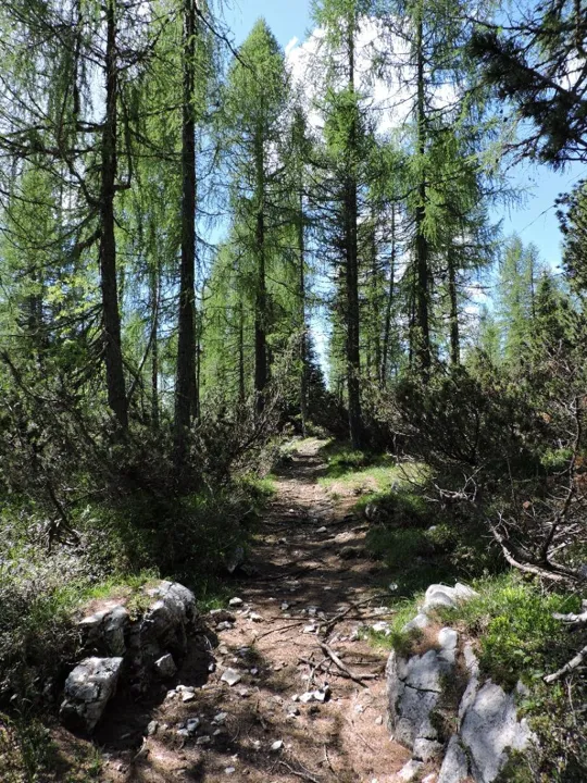 Sentiero non segnato