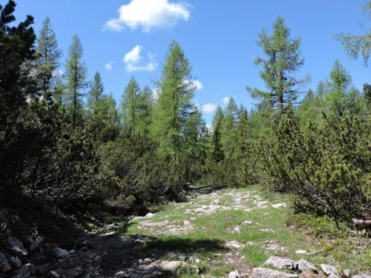 Sentiero non segnato