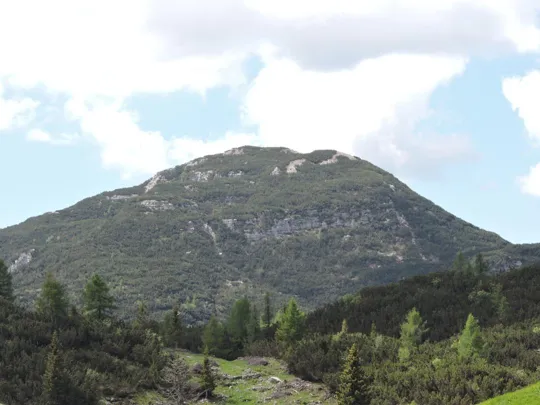 Corno di Campo Bianco