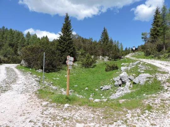 Incrocio con il bivio per malga Pozze - prendere la strada a sinistra in foto