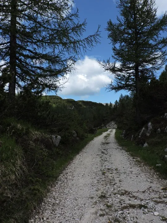 Sulla strada verso il bivio Conrad