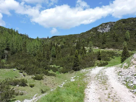 Verso il bivio Conrad