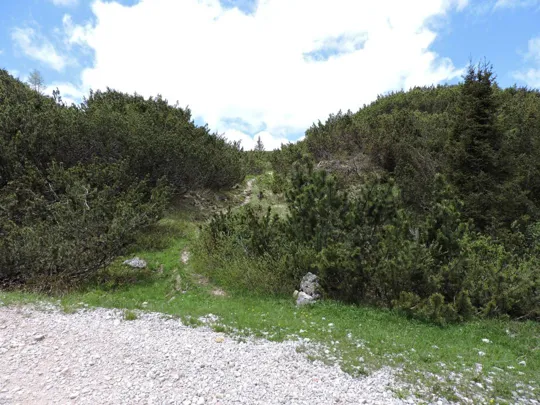 Sentiero in uscita dalla strada