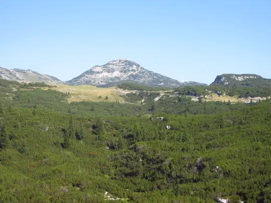Panorama