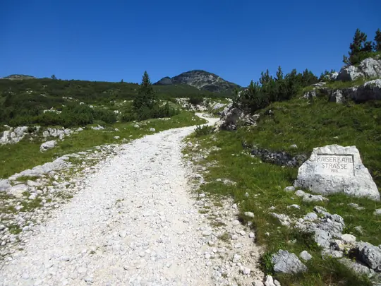 Dettaglio della strada