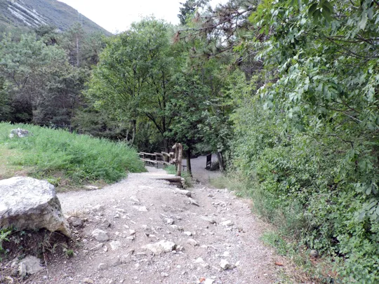 Discesa al parco avventura