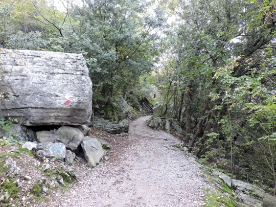 Dettaglio del percorso