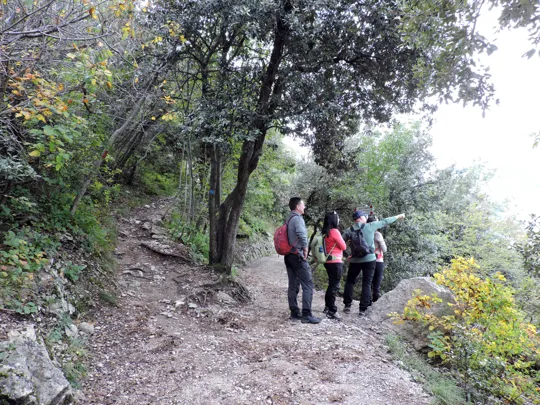 Primo incrocio, proseguire su quello più basso