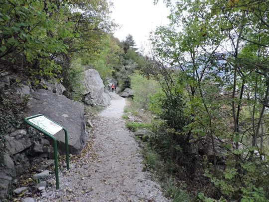 Dettaglio del percorso