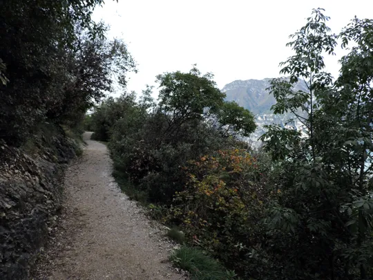 Dettaglio del percorso