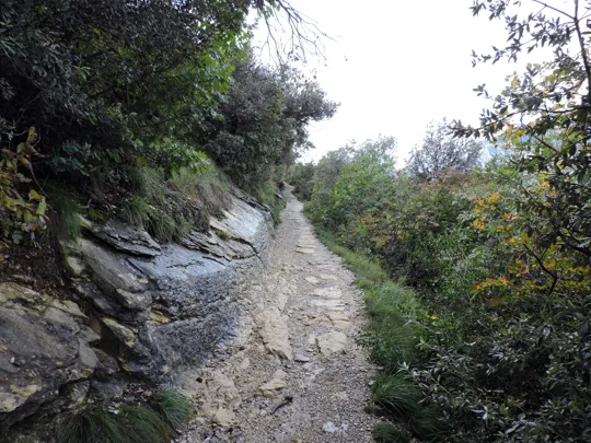 Dettaglio del percorso