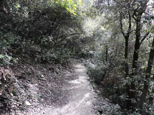 Dettaglio del percorso