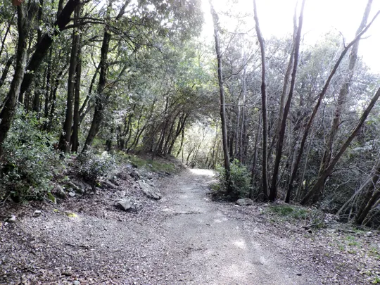 Dettaglio del percorso