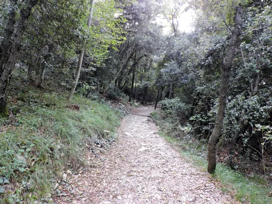 Dettaglio del percorso