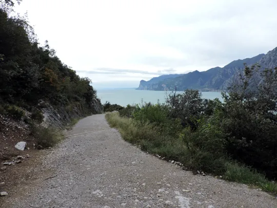 La strada forestale verso Tempesta