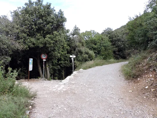 La fine del sentiero e la salita sulla strada forestale