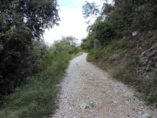 Dettaglio del percorso