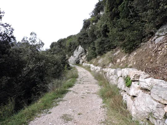 Dettaglio del percorso