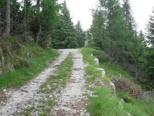 Dettaglio della strada