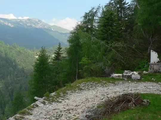 Dettaglio della strada