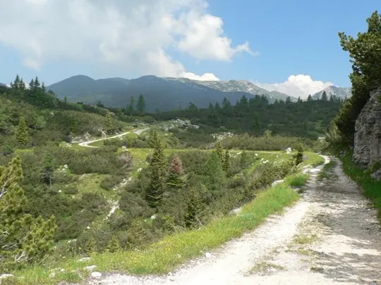 Dettaglio della strada