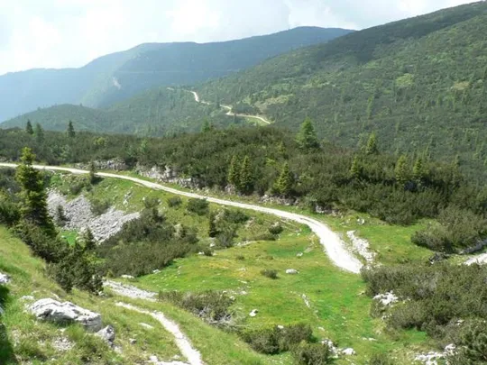 Dettaglio della strada