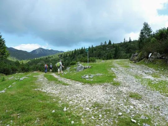 Deviazione per Casara Trentin